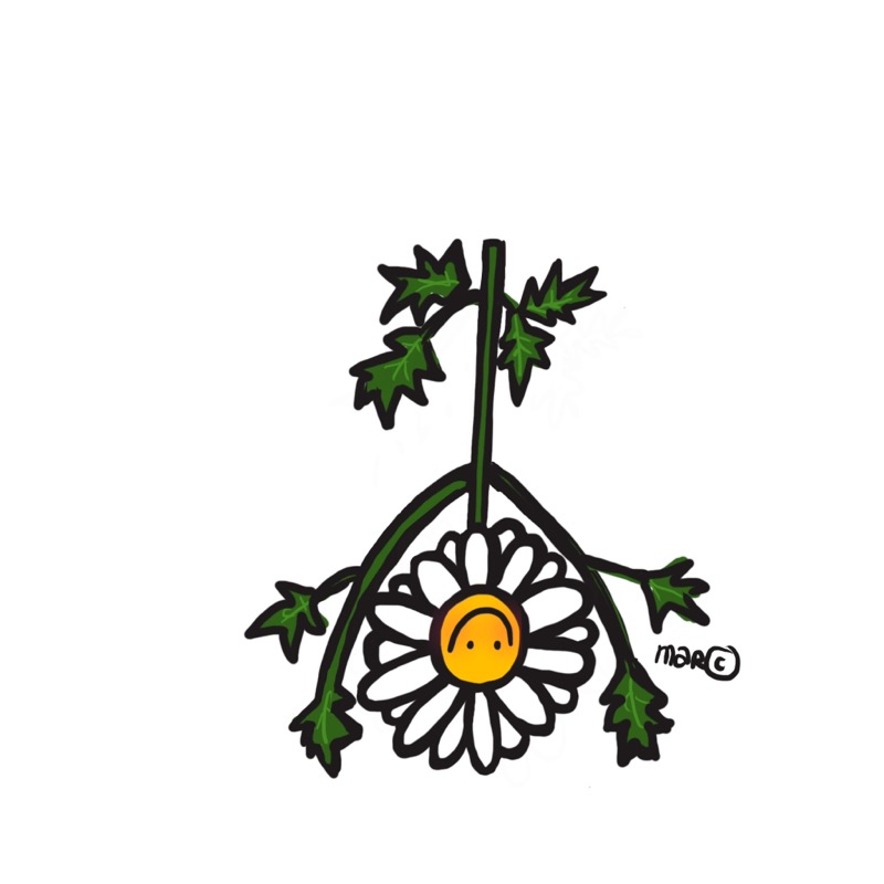 Handgetekende bloemenillustratie door Marretjes